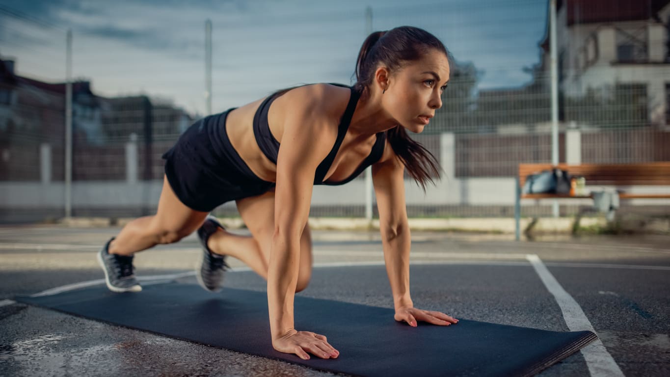mountain climbers
